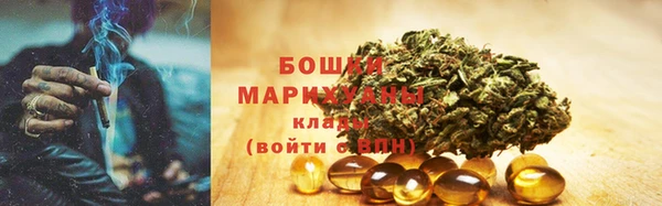 дурь Каменка