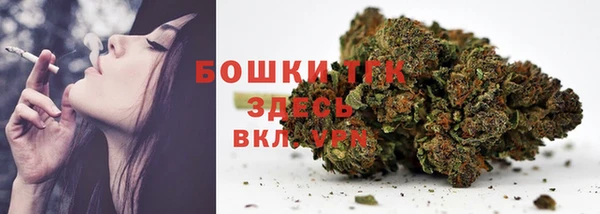 дурь Каменка