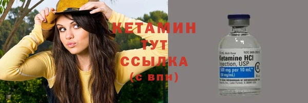 дурь Каменка