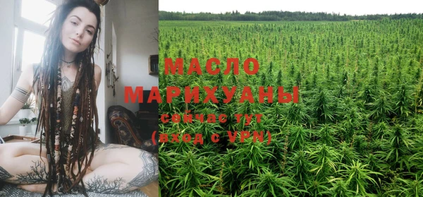 дурь Каменка